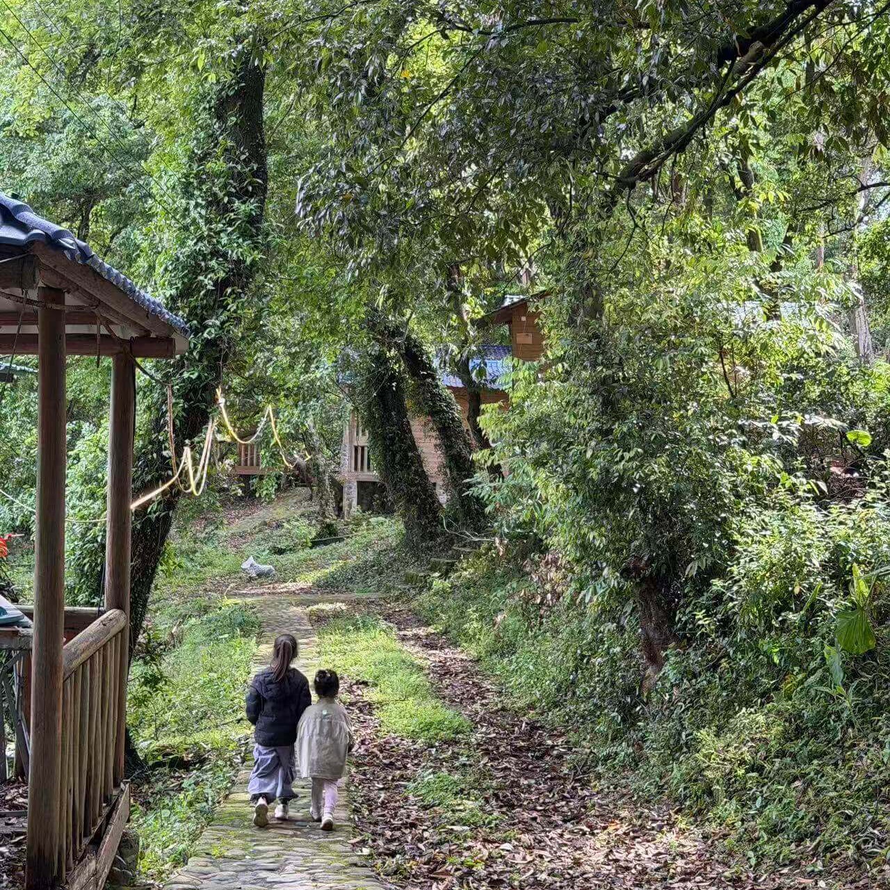 露营装备与帐篷场景
